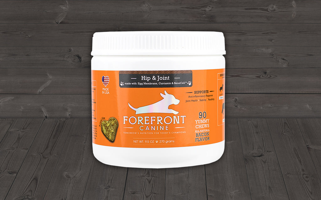 Forefront Canine Hip & Joint