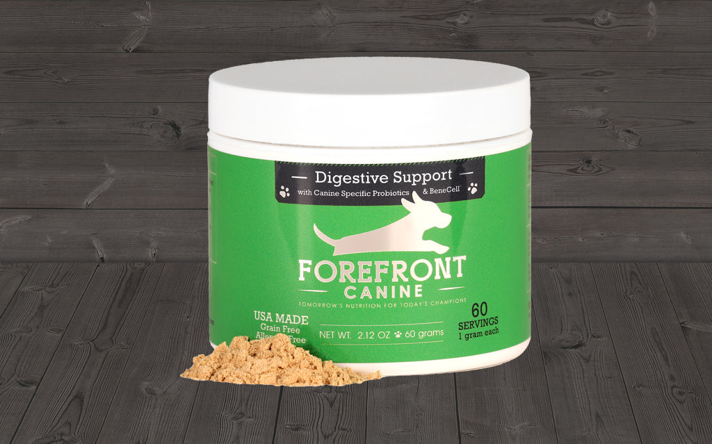 Forefront Canine Digestive