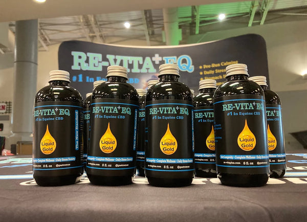 Liquid Gold- Premium Equine Daily Wellness – Re-Vita+